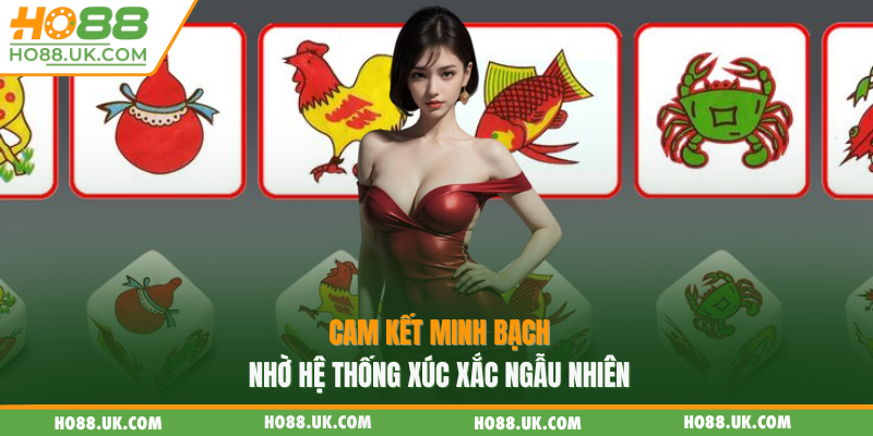 Cam kết minh bạch nhờ hệ thống xúc xắc ngẫu nhiên