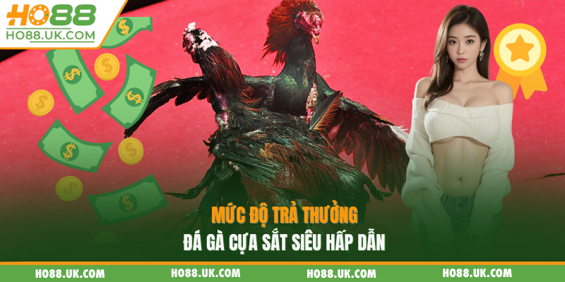 Mức độ trả thưởng đá gà cựa sắt siêu hấp dẫn