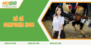 da-ga-campuchia-ho88