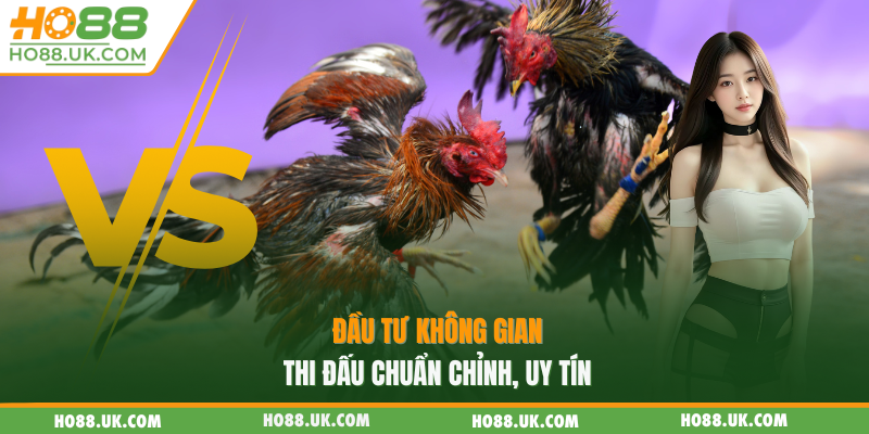 Đầu tư không gian thi đấu chuẩn chỉnh, uy tín