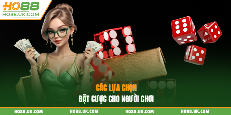 Các lựa chọn đặt cược cho người chơi