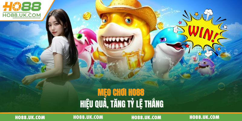 Mẹo chơi HO88 hiệu quả, tăng tỷ lệ thắng